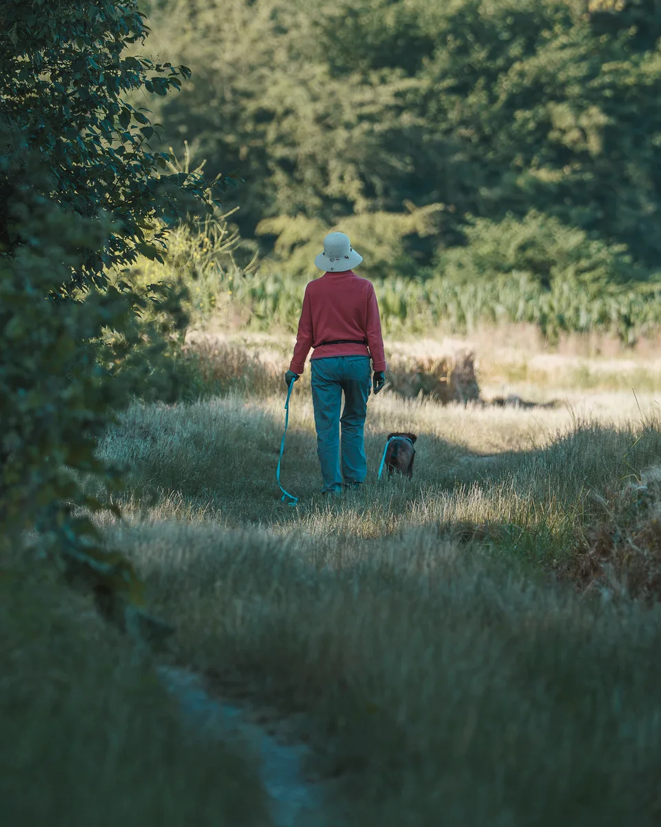 A Walk