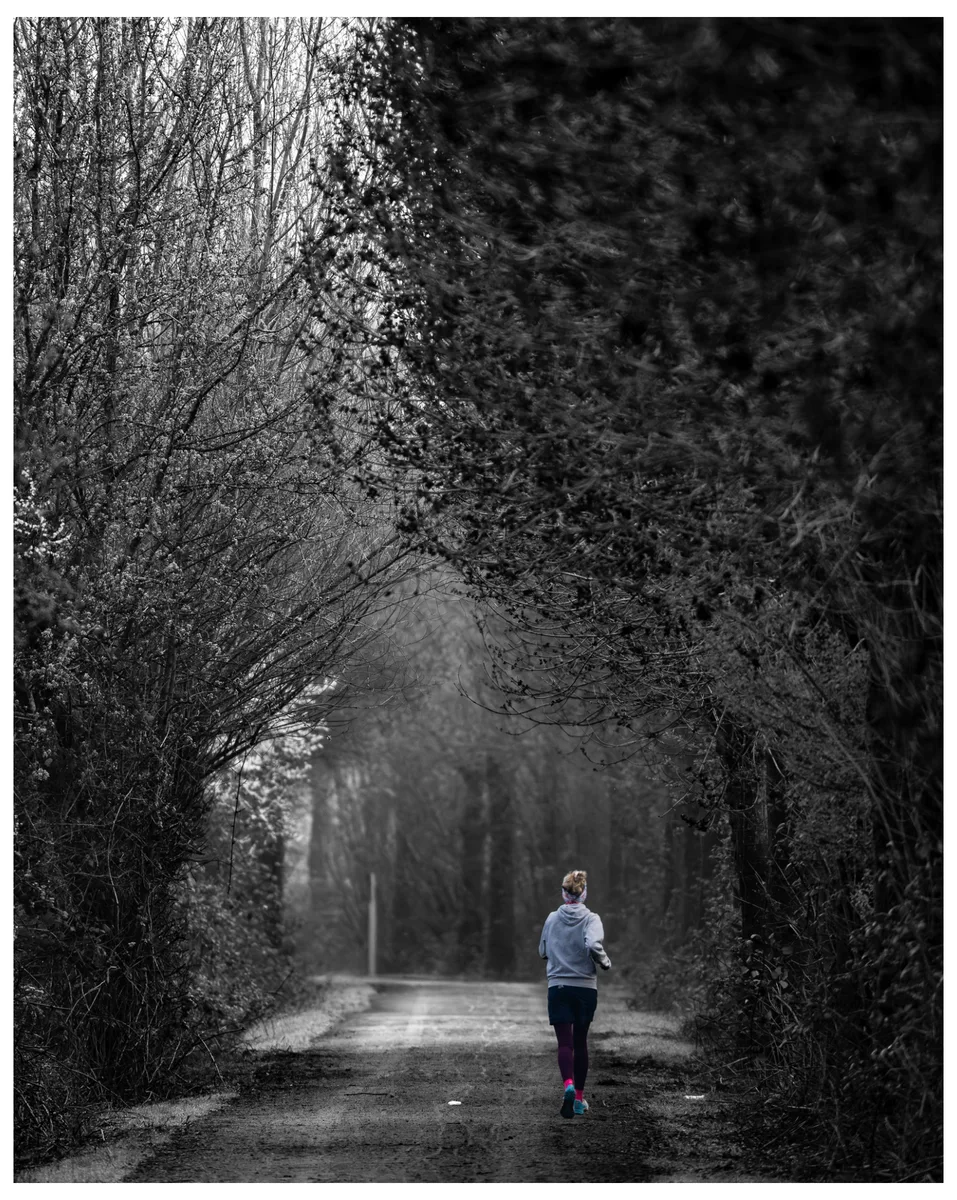 Blending In The Mist