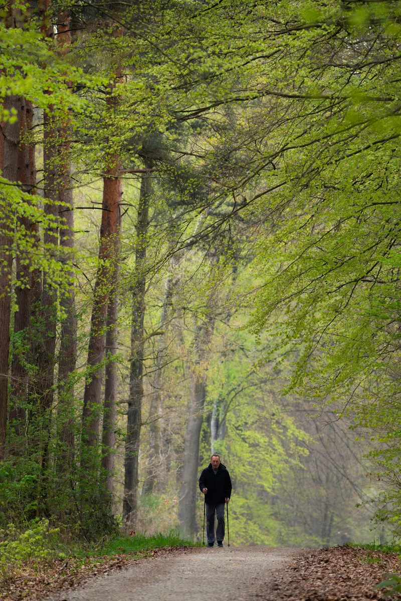 Breathing Fresh Air As The Mist Fades