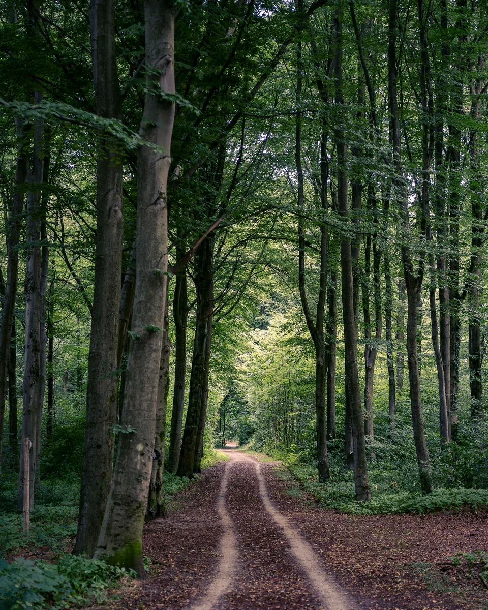 Country Road
