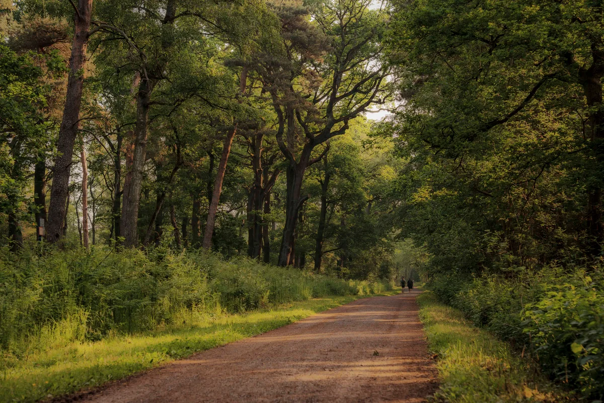 Green Pathway