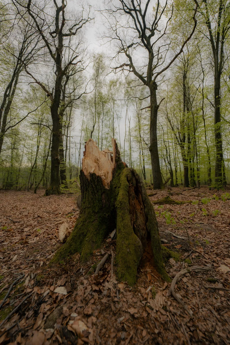 An End Of An Chapter