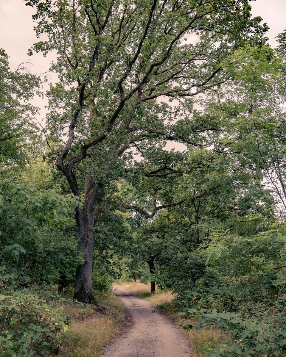 Breath And Walk