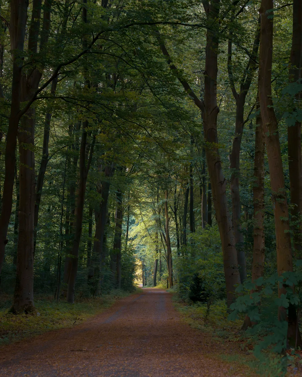Green Path 