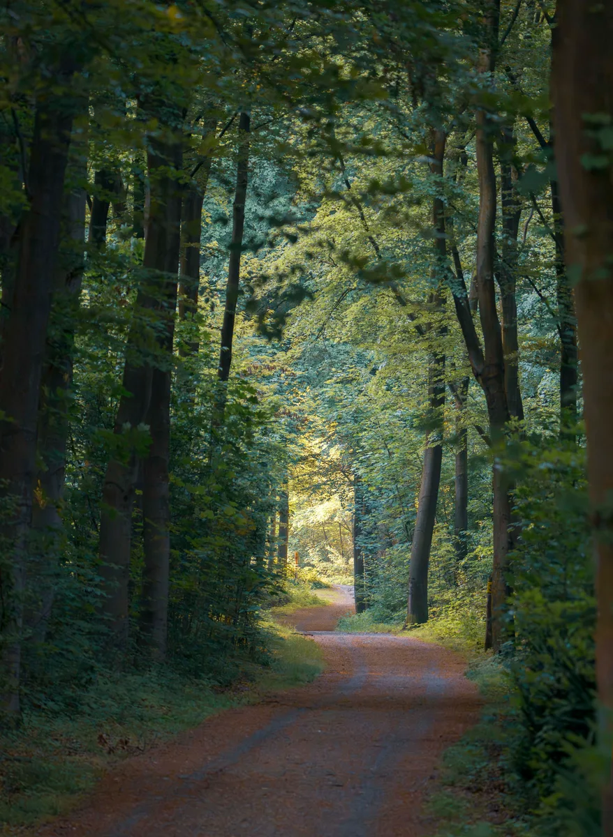 Green Tunnel