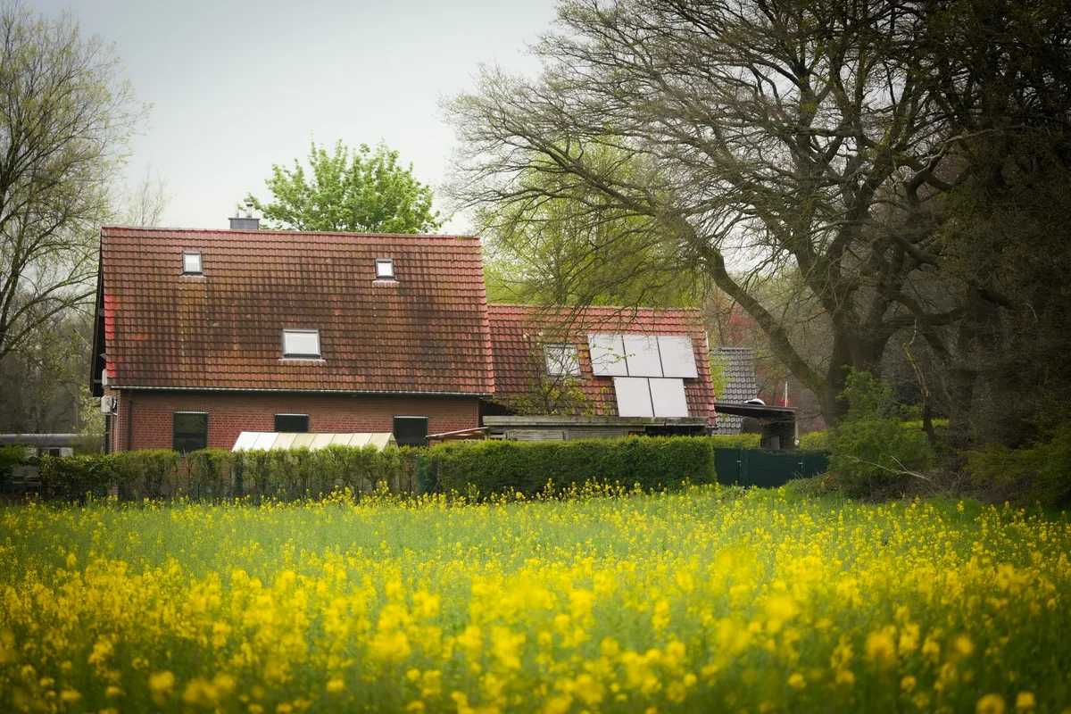 Contrast In The Field