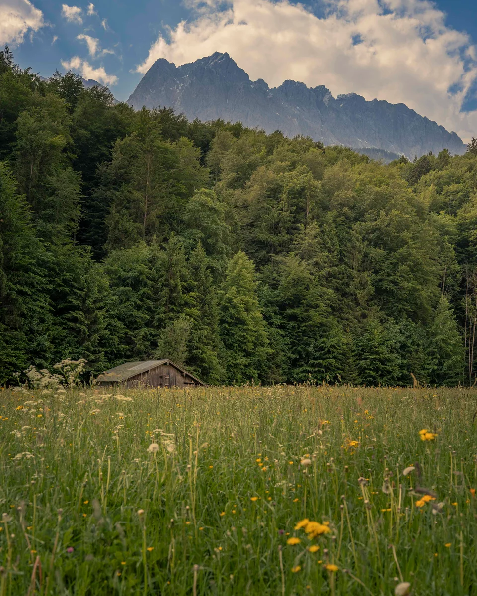 Nowhere In Alps