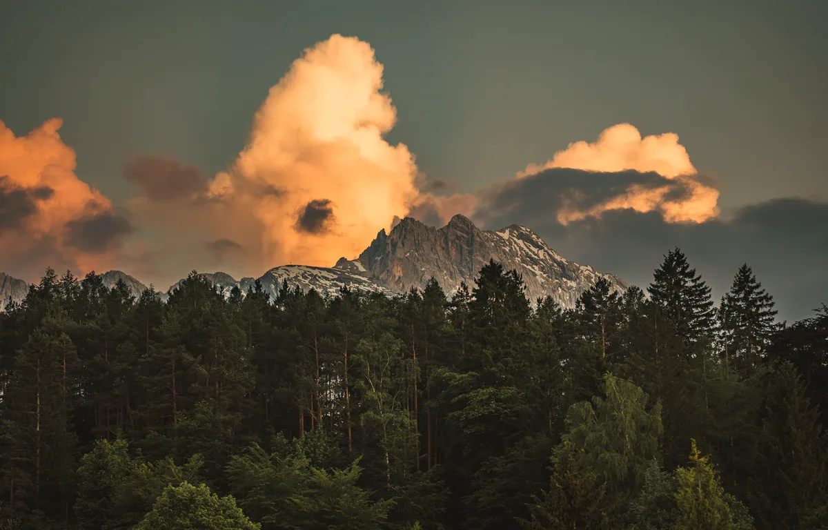 Peak Above Forest