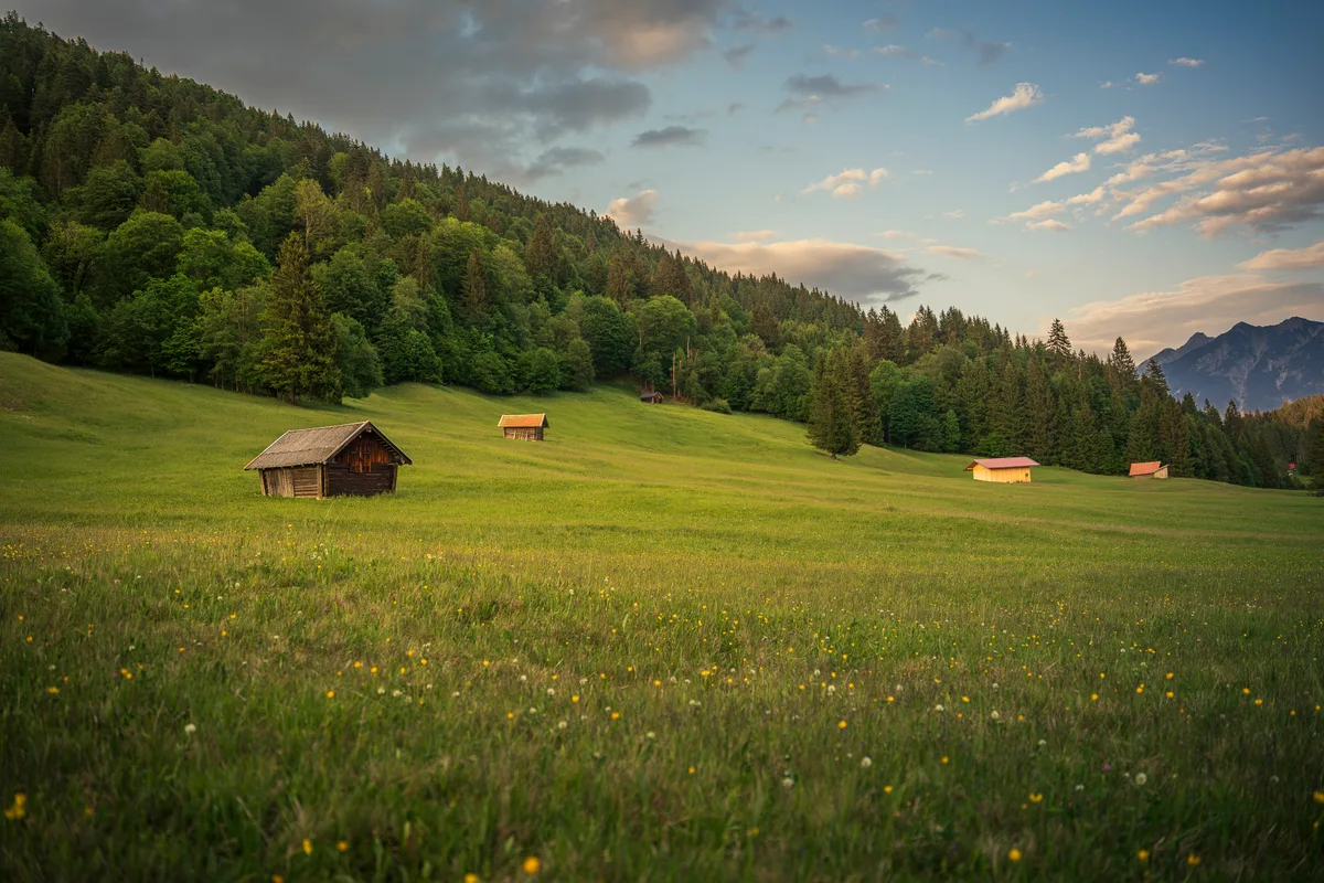 The Alpen Farmland — Summer Afternoon
