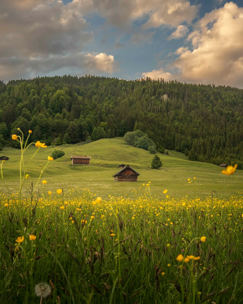 The Alpen Farmland 12