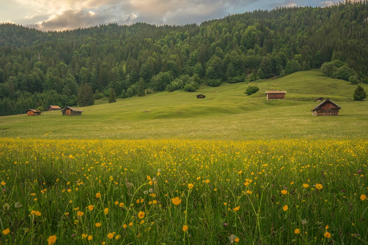 The Alpen Farmland 2