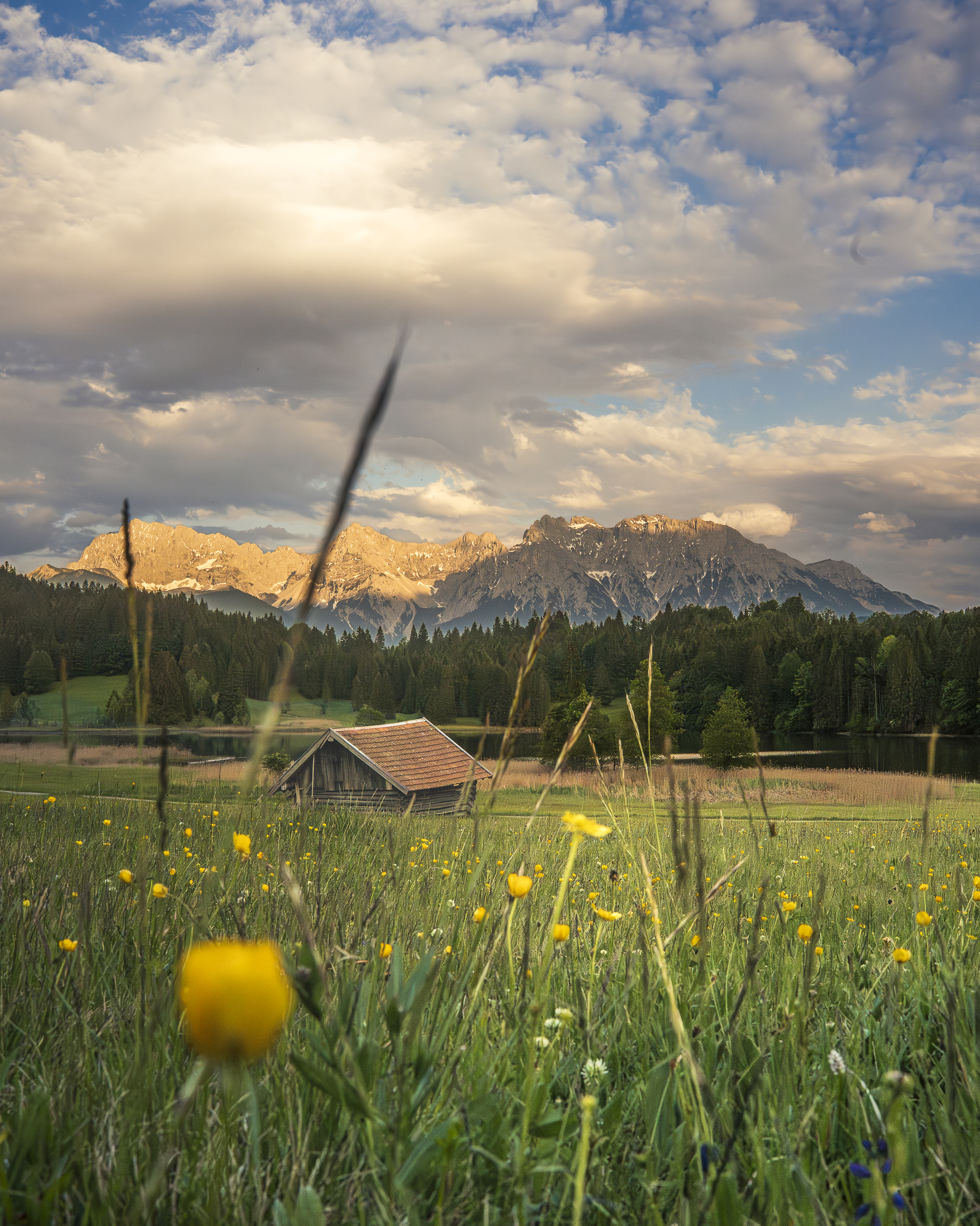 The Alpen Farmland 4