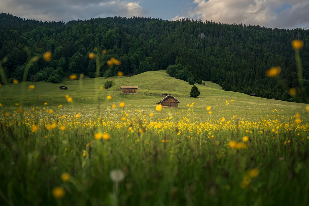 The Alpen Farmland 7