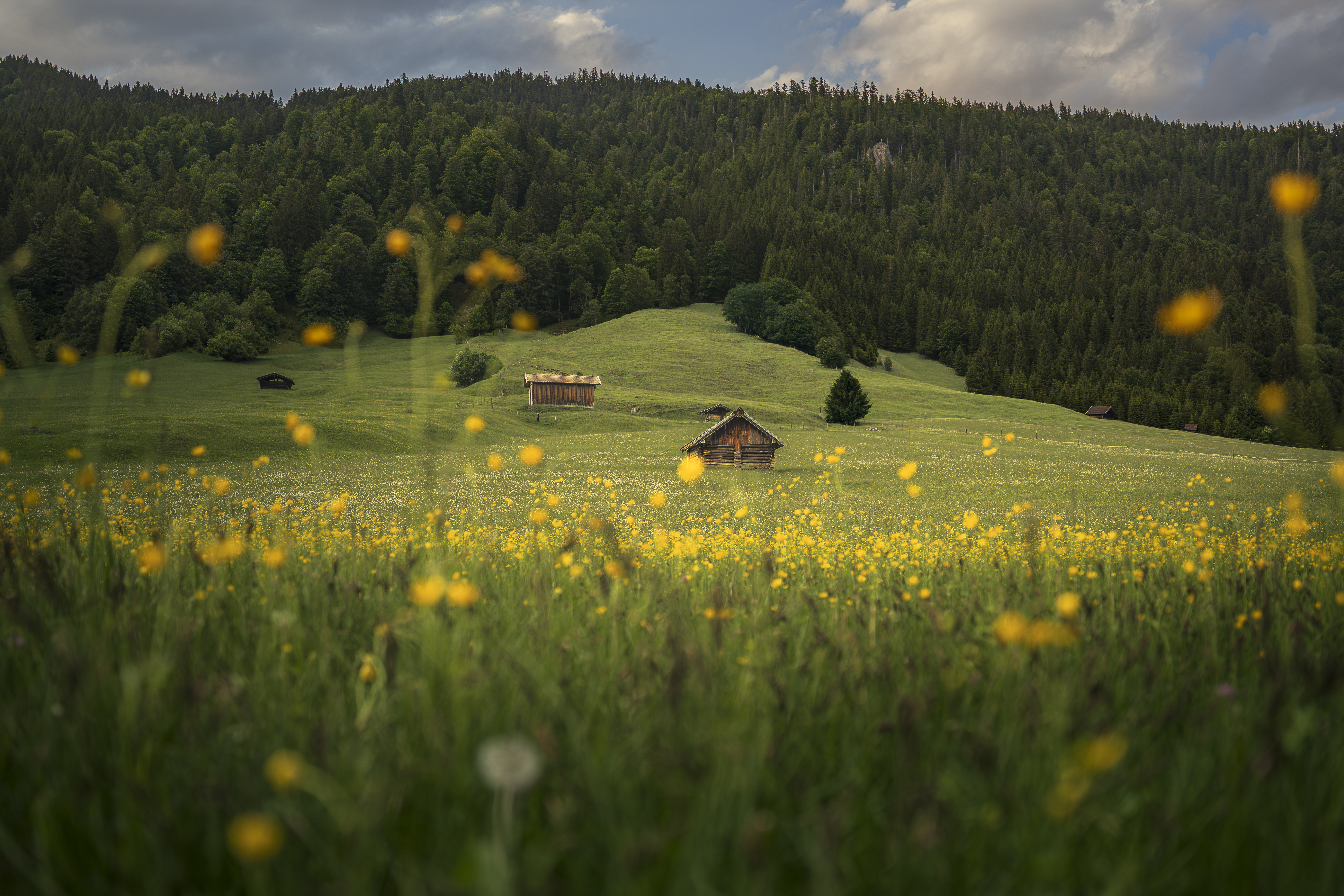 The Alpen Farmland 8