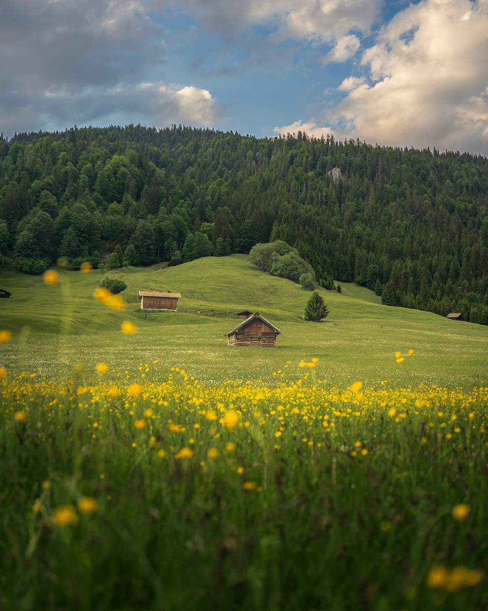 The Alpen Farmland